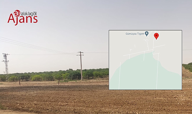 Şanlıurfa’dan konum paylaştı: Bu suçtur, usulsüzlüktür