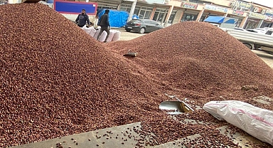 Şanlıurfa Şıracılar Pazarında fıstık fiyatları