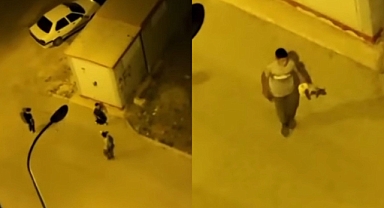 Sokak köpeklerini taşlayan çocuklar tepki topladı