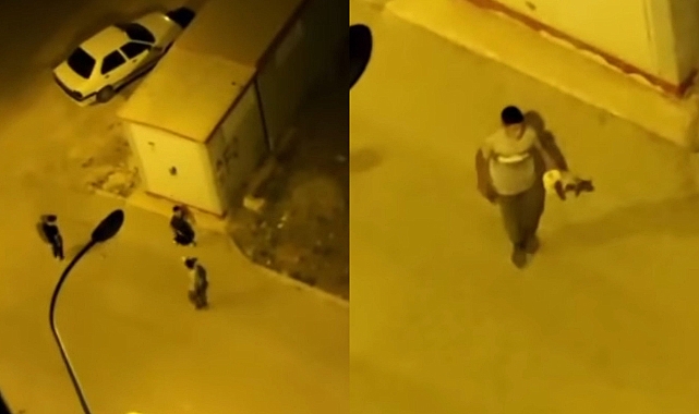 Sokak köpeklerini taşlayan çocuklar tepki topladı