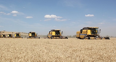 TİGEM'de 200 bin ton rekolte bekleniyor