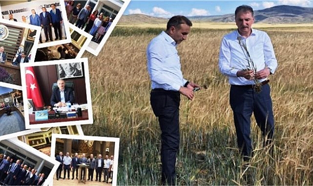 TMO Genel Müdüründen buğday ve arpa alımı açıklaması