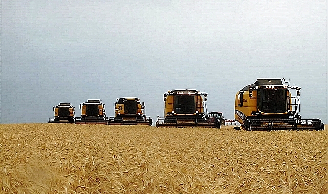TMO'nun alım fiyatları buğday piyasasını hareketlendirdi