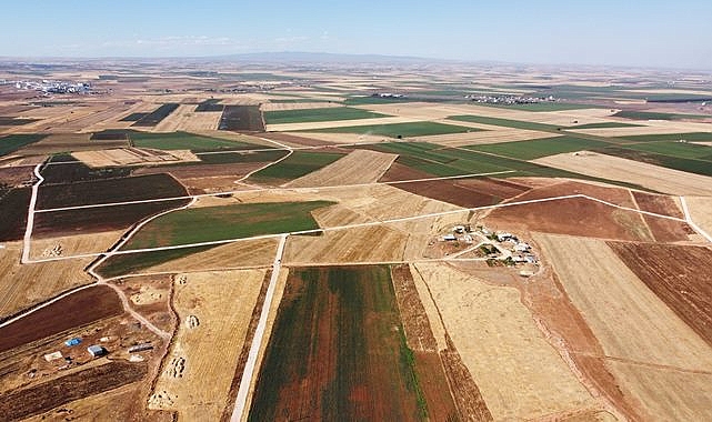 Urfa'da arazi toplulaştırma çalışmaları devam ediyor