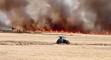 Urfa'da ekili arazide yangın! Çiftçinin emeği küle döndü
