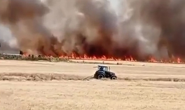 Urfa'da ekili arazide yangın! Çiftçinin emeği küle döndü