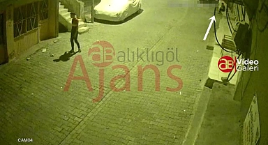 Urfa'da hırsızlık yapan şahıslar kameraya yakalandı