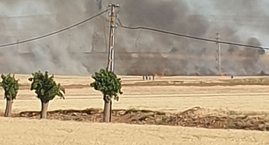 Urfa'nın ilçesinde ekili arazide yangın