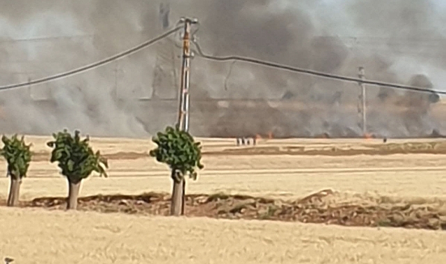 Urfa'nın ilçesinde ekili arazide yangın