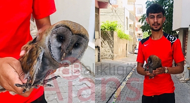 Urfalı gençten örnek davranış