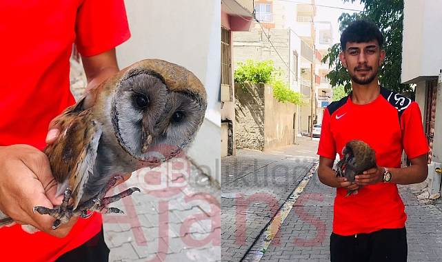 Urfalı gençten örnek davranış