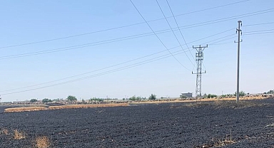 Viranşehir’de buğday tarlası yanarak küle döndü