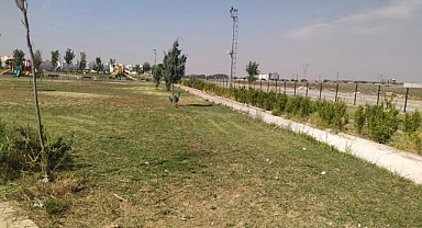 Viranşehir’de yabani ot temizliği için yoğun mesai 