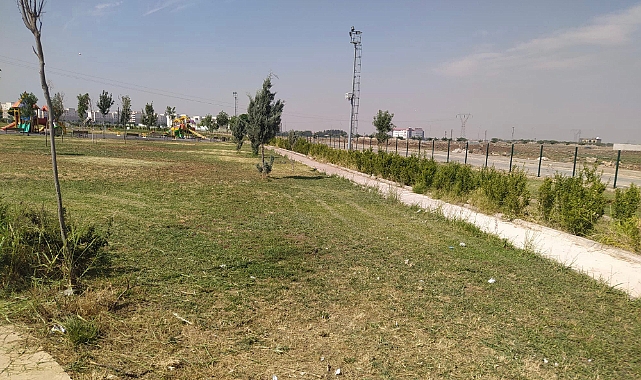 Viranşehir’de yabani ot temizliği için yoğun mesai 