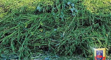 8 ilde uyuşturucu madde operasyonu! 32 gözaltı