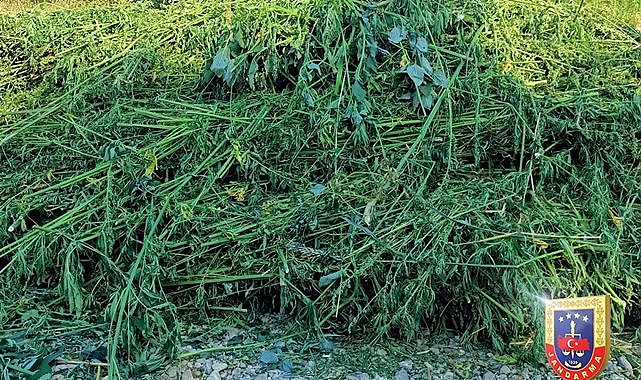 8 ilde uyuşturucu madde operasyonu! 32 gözaltı