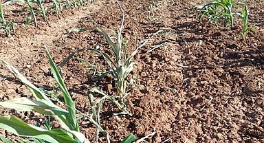 Şanlıurfa'da elektrikler bilinçli kesiliyor iddiası!