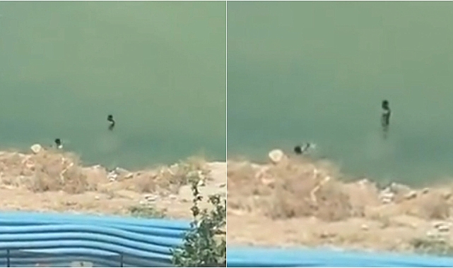 Adliye binası için kazılan temel havuza döndü