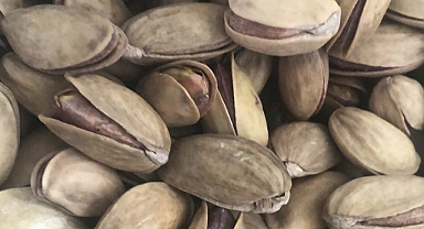 Antep fıstığı fiyatları belli oldu