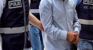 Antep fıstığı hırsızları iş başında!