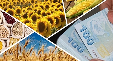 Çiftçinin hesabına 181 milyon destek yatırıldı