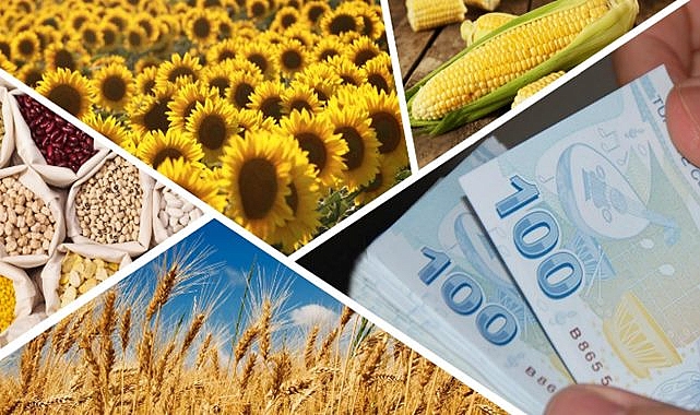 Çiftçinin hesabına 181 milyon destek yatırıldı