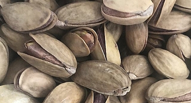Fıstık ihracatında dikkat çeken Almanya detayı