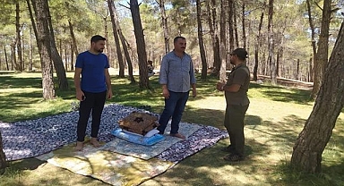 Gölpınar Tabiat Parkında denetim yapıldı