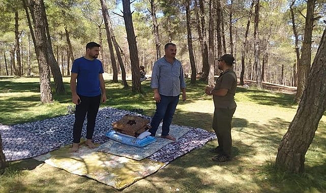 Gölpınar Tabiat Parkında denetim yapıldı