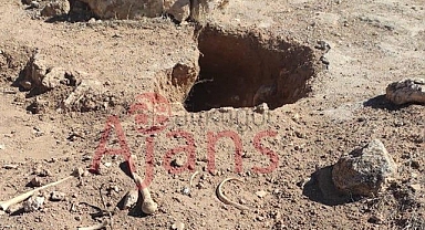 Harran'da sokak köpekleri insan kemiği yemeye başladı