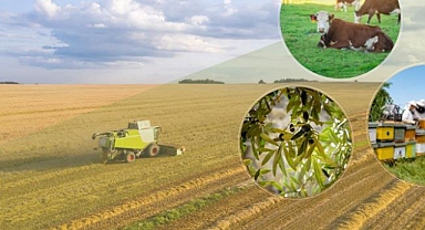 Hububat ve dane mısır desteği hesaplara yattı 