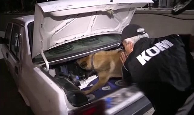 Organize suç örgütlerine büyük operasyon!