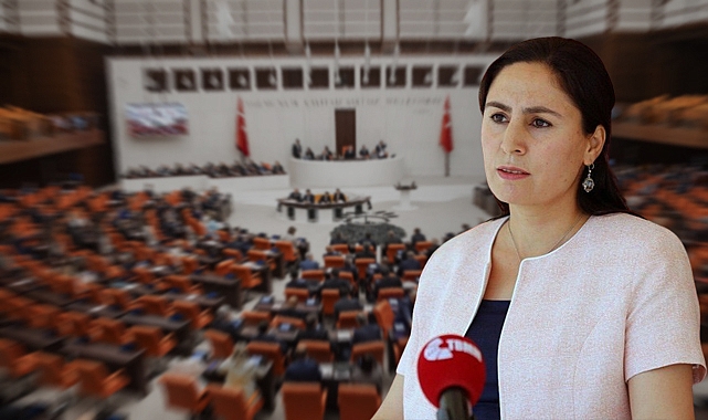 Şanlıurfa'da bulunan insan kemiklerini Fuat Oktay'a sordu