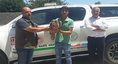 Şanlıurfa'da bulunan Puhu Kuşu tedavi altına alındı