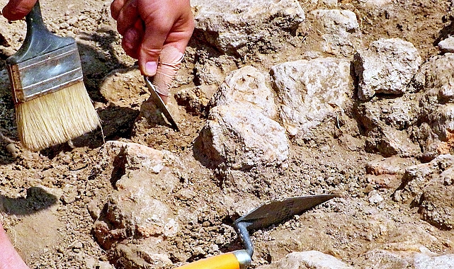 Şanlıurfa'da bu bölgeler koruma altına alındı