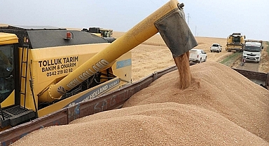 Şanlıurfa ve Gaziantep borsalarında hububat fiyatları
