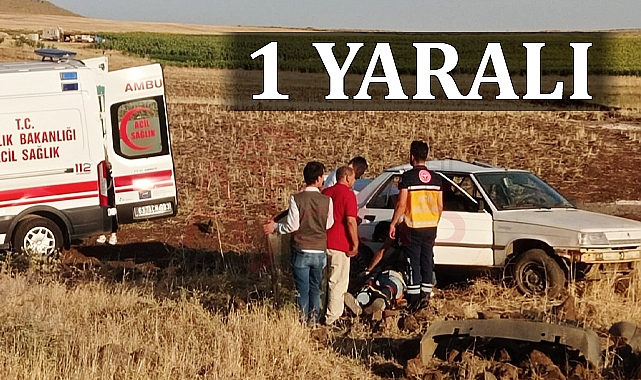 Siverek'te kontrolden çıkan otomobil tarlaya uçtu