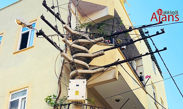 Tehlikeyle iç içe yaşıyorlar