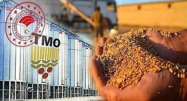 TMO hububat alım fiyatlarını arttırdı