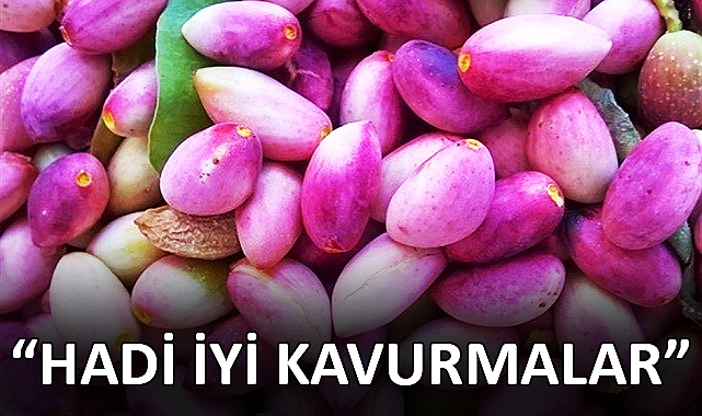 Tüysüz: Gaziantep'e verilmiş olması vekillerimizin başarısıdır