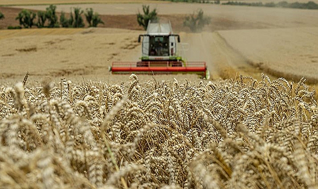 Un sanayicileri Tahıl Koridoru'ndan umutlu