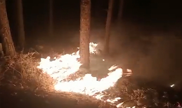 Urfa'da girişi yasak olan bölgede yangın çıktı 