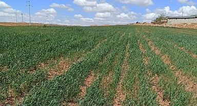 Urfa'da hazine arazileri peşkeş mi çekiliyor?