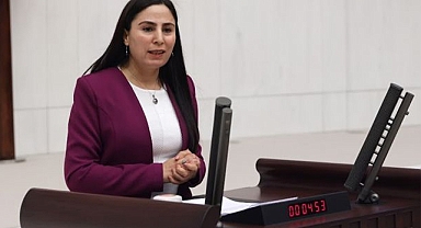 Vekil Sürücü: Hanefiş Kilisesine gereken özen gösterilmiyor 