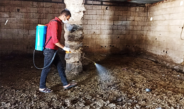 Viranşehir'de ilaçlama çalışmaları sürüyor