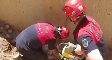 Yavru köpeklerin imdadına itfaiye yetişti 