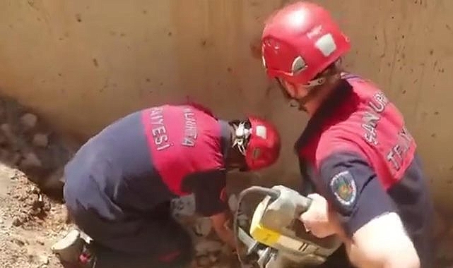 Yavru köpeklerin imdadına itfaiye yetişti