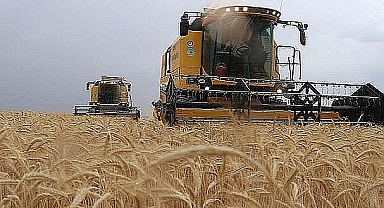 Yeni hububat ve bakliyat fiyatları açıklandı 