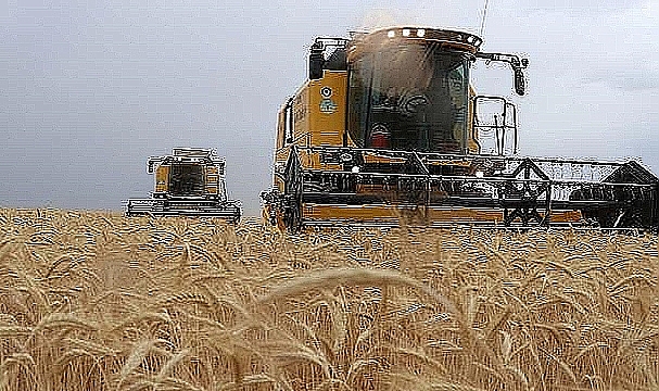 Yeni hububat ve bakliyat fiyatları açıklandı