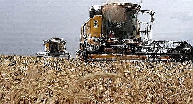 Yeni hububat ve bakliyat fiyatları belli oldu